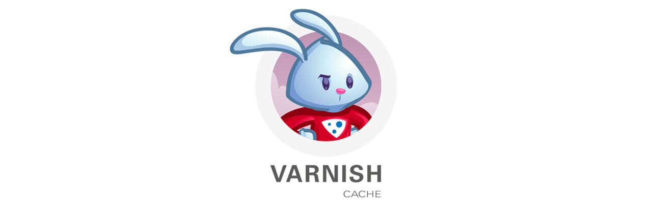 varnish cache